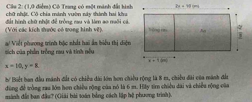 Mảnh đất hình chữ nhật được chia thành khu trồng rau và ao nuôi cá