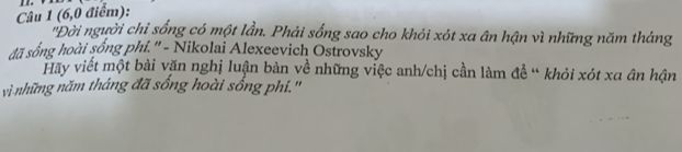 Đề bài nghị luận xã hội 6 điểm về câu nói của Nikolai Ostrovsky: Đời người chỉ sống có một lần