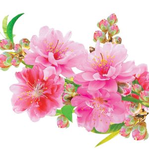 89+ các mẫu hoa đào vector cực sang trọng