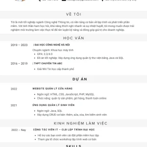 9+ Mẫu template CV chuyên nghiệp