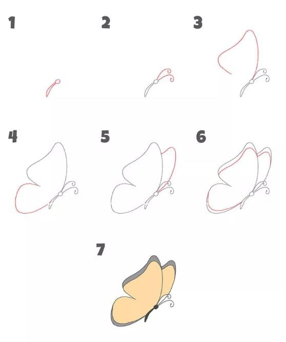 Vẽ con bướm với các bước đơn giản, dễ thực hiện