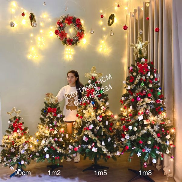 Cảnh các size cây thông đầu tròn 90cm-1m2-1m5-1m8 đã được trang trí
