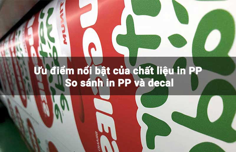 Giấy in PP với bề mặt in hình ảnh và mặt sau tráng keo hoặc không keo