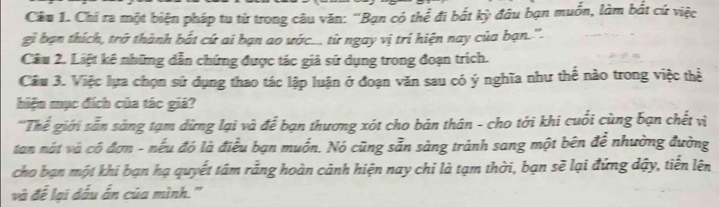 Câu hỏi về biện pháp tu từ, dẫn chứng và thao tác lập luận trong đoạn văn