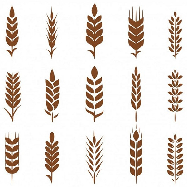 hình bông lúa vector đẹp