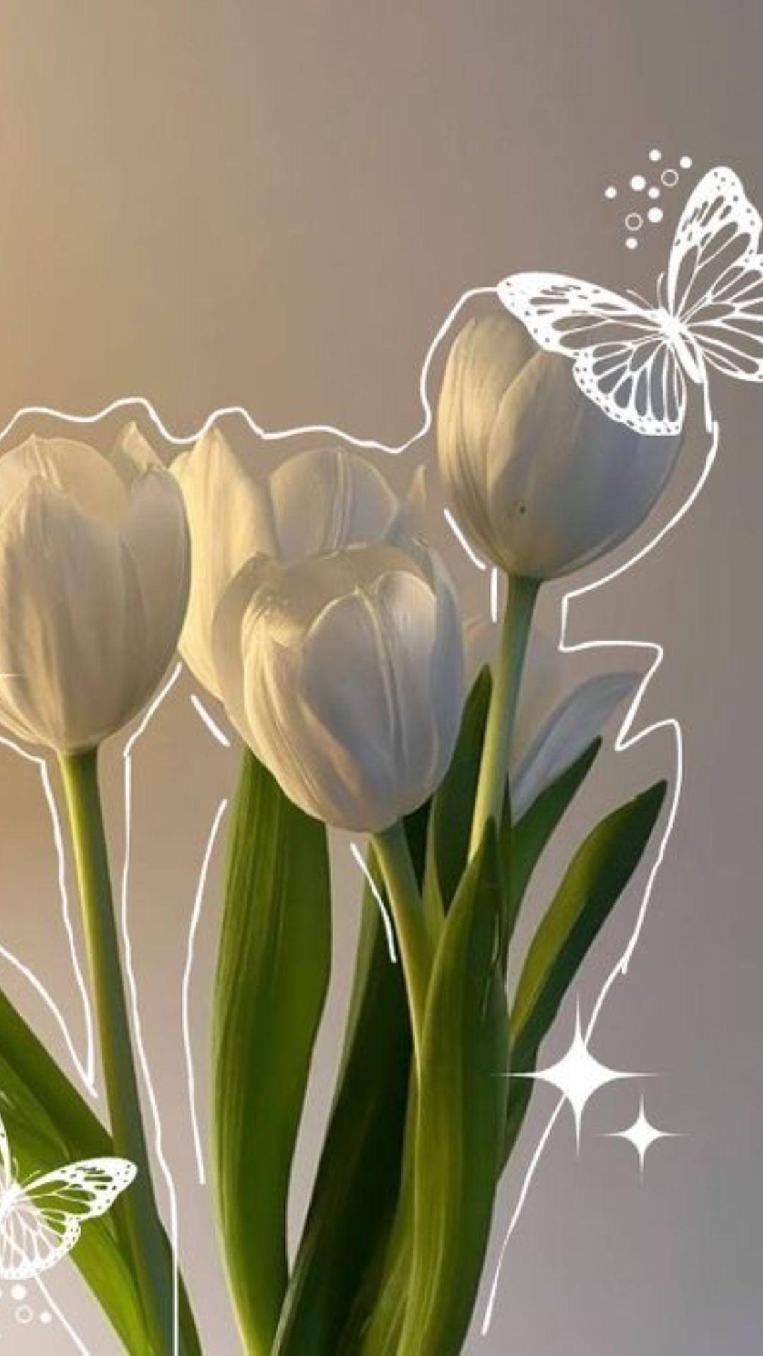 Gia đình tulip dễ thương