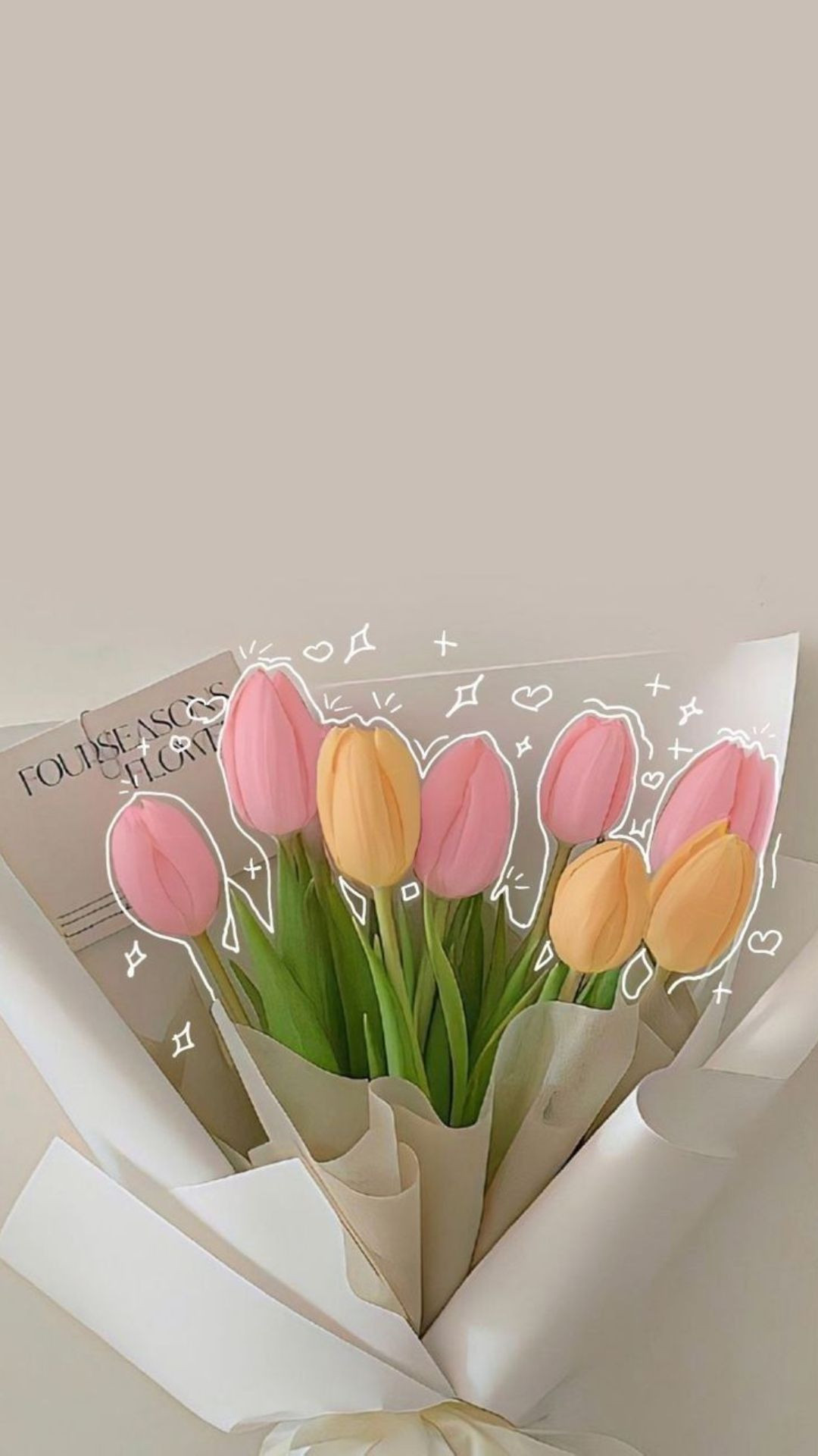 Tulip cute nhiều màu sắc