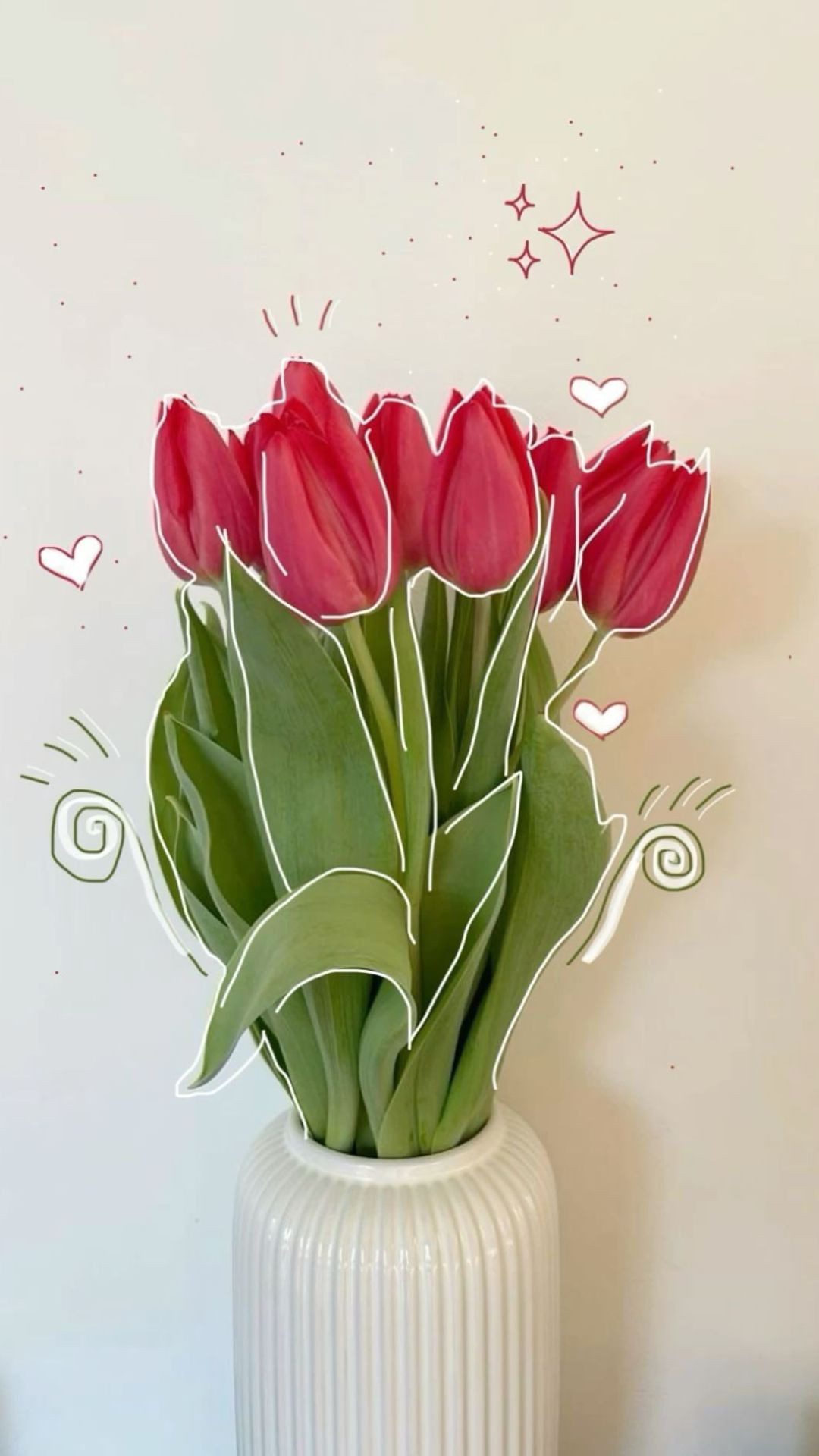 Tulip hồng nhỏ xinh