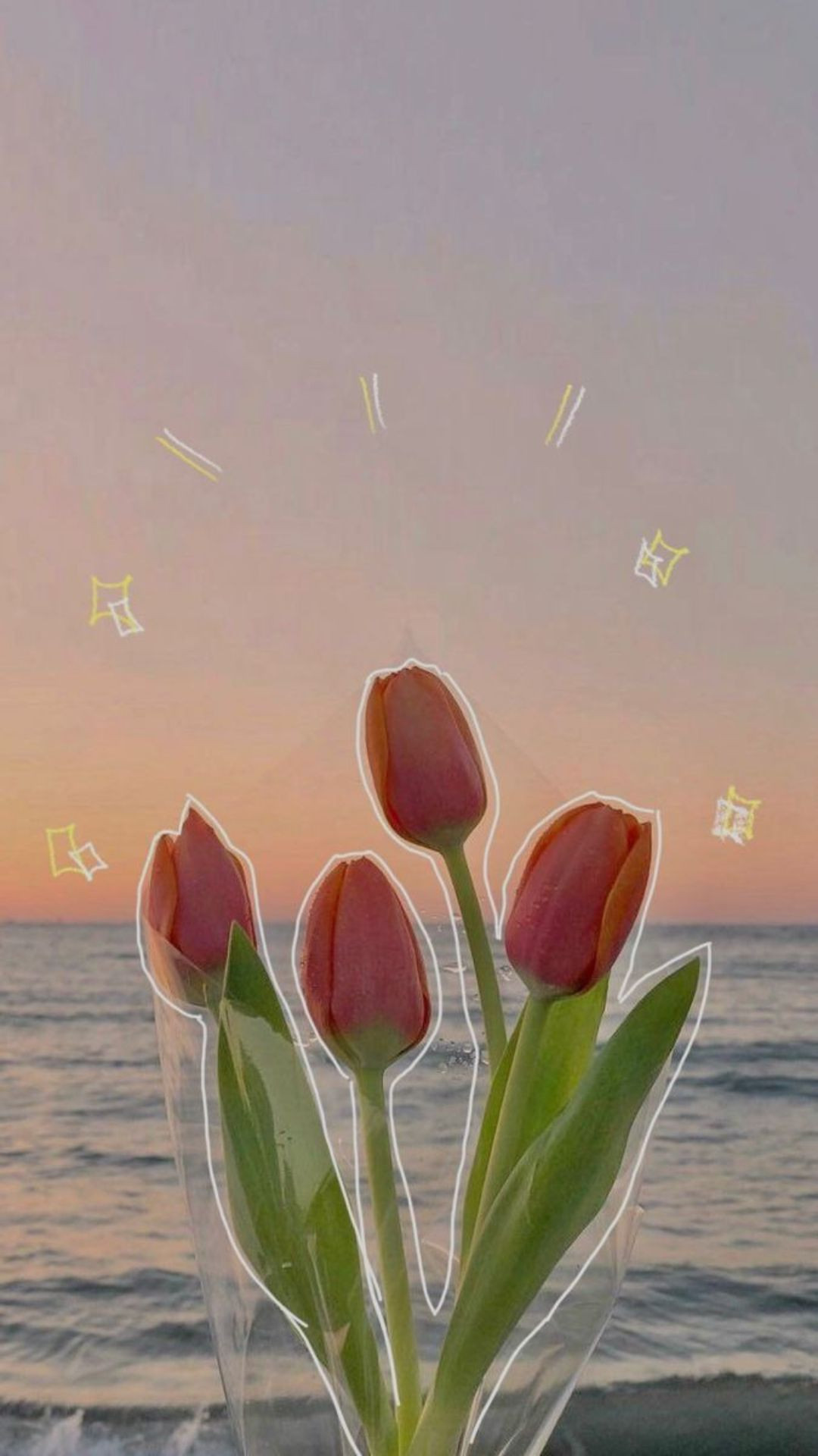 Tulip hoạt hình vui nhộn
