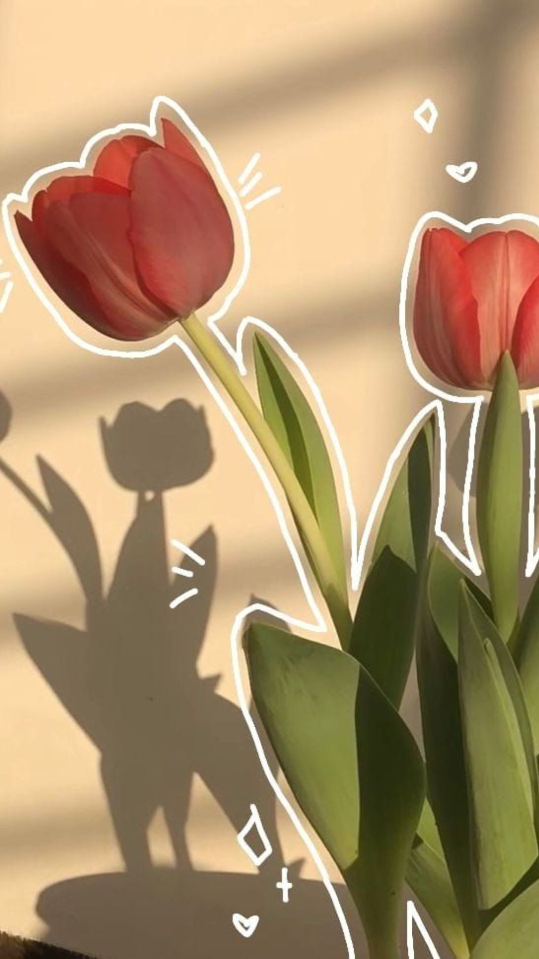 Tulip cute với nơ xinh