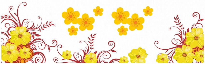 Alt text: Hình ảnh một cụm hoa mai vàng nở rộ trên cành cây