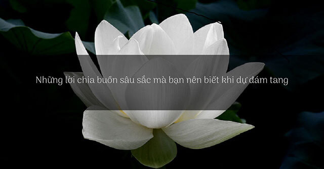 Các tấm thiệp chia buồn với những lời nhắn nhủ ý nghĩa được đặt cạnh đóa hoa huệ trắng