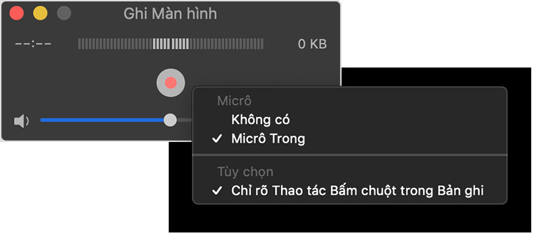 Cài đặt ghi màn hình QuickTime với các tùy chọn microphone và hiển thị bấm chuột