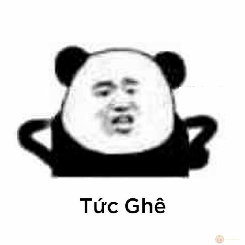 Chú gấu trúc với biểu cảm thất vọng, như muốn nói "Đừng dỗi nếu không thật lòng"