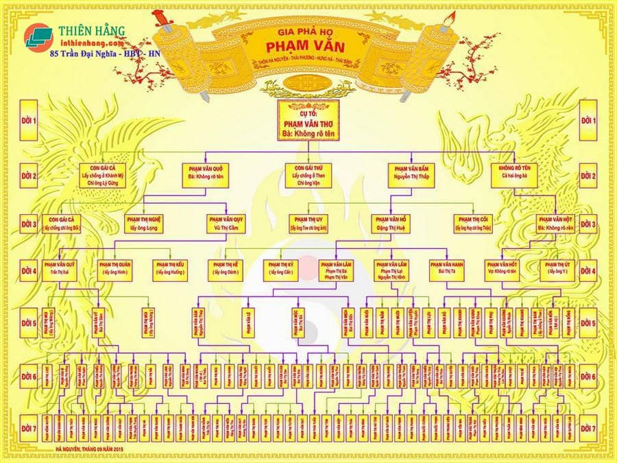 Sơ đồ phả hệ dạng tổ chức hiện đại