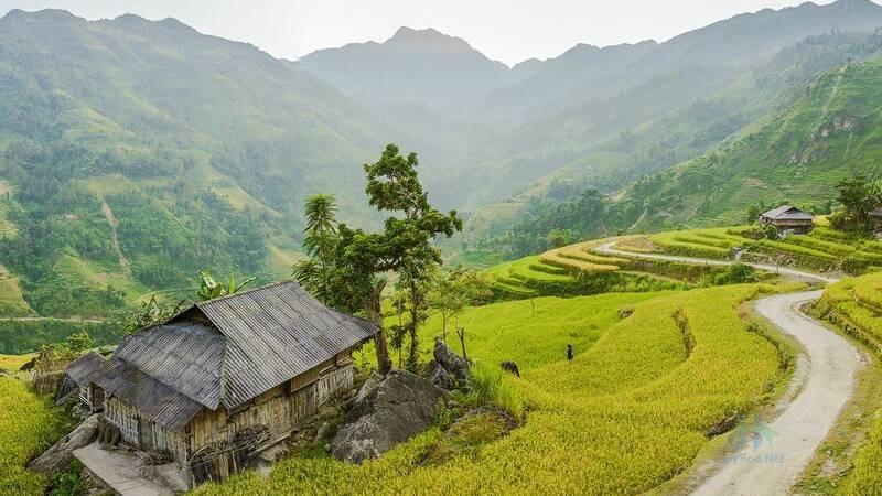 Con đường làng quanh co với hàng cây xanh hai bên