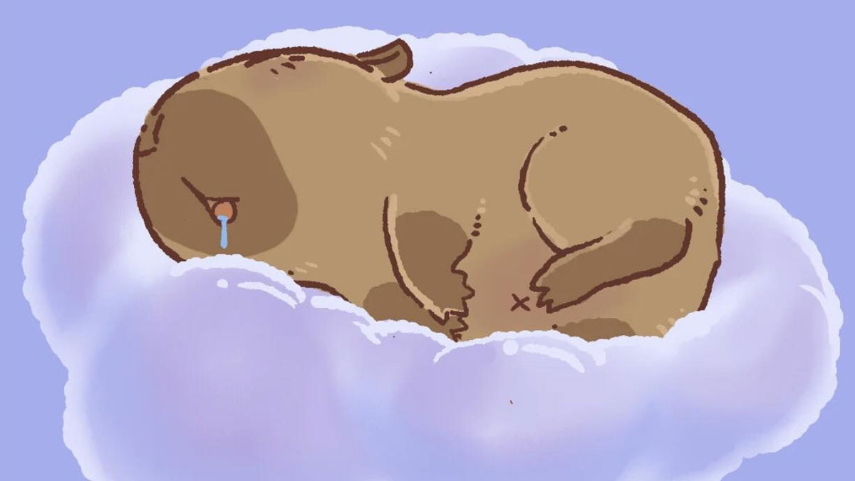 Capybara đáng yêu với đôi mắt to tròn
