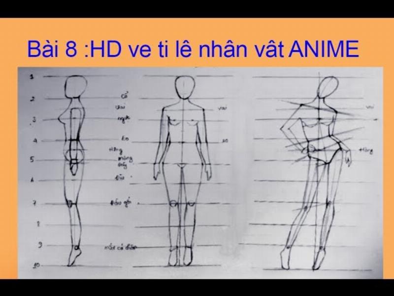 Hướng dẫn chi tiết về tỉ lệ 8 đầu khi vẽ dáng người anime nữ ngầu với đôi chân dài và vai ngang