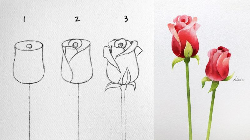 Bút chì và sổ phác thảo để vẽ hoa đơn giản